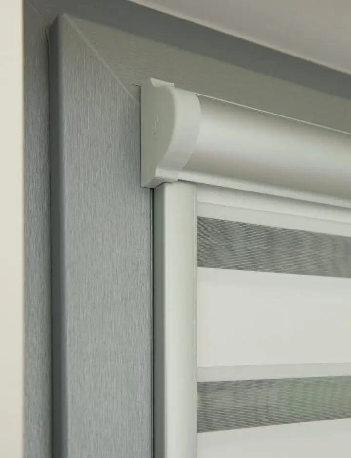 CLIMAX - Orion zebra