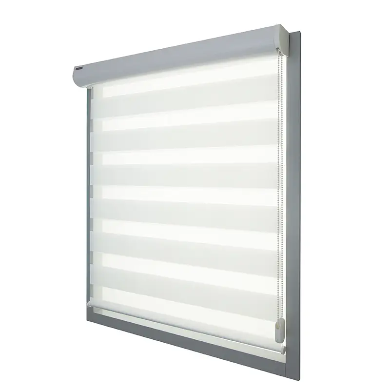 CLIMAX - Varieta zebra